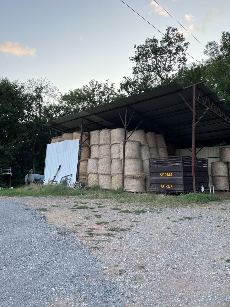 Never run out of ideas again