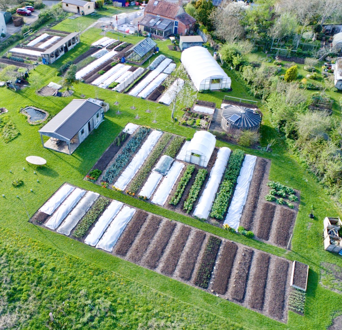 Spring sowings catch up