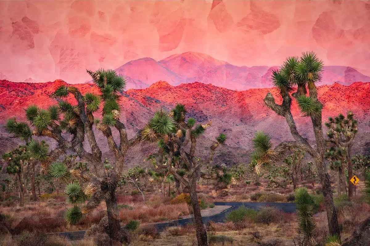 The World’s 10 Craziest Places to Trip on Psychedelics