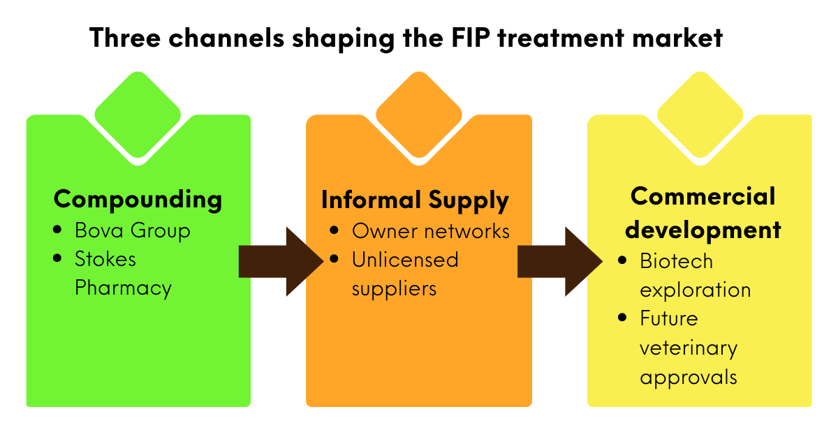 How FIP treatment went from the black market to the clinic