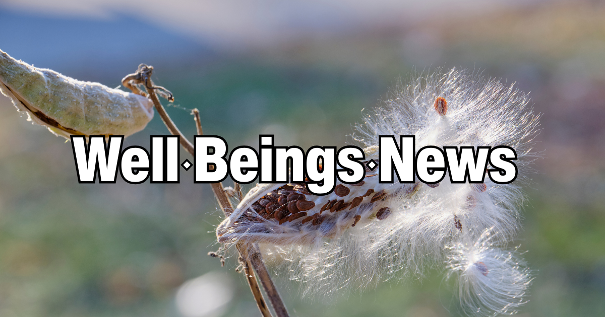 The Monday Scattering | December 29, 2025