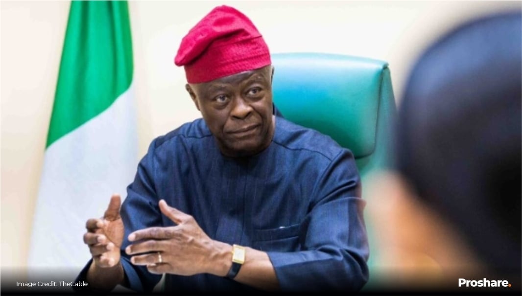 Adichie Tragedy Sparks Healthcare Reform Calls | NowNowNaija