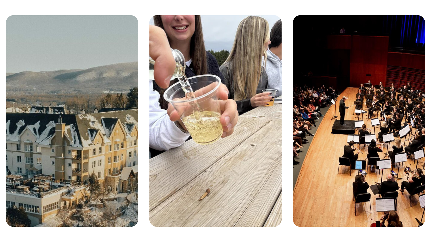 🦫 A toast to Sherbrooke’s new cider farm (and your weekend plans)