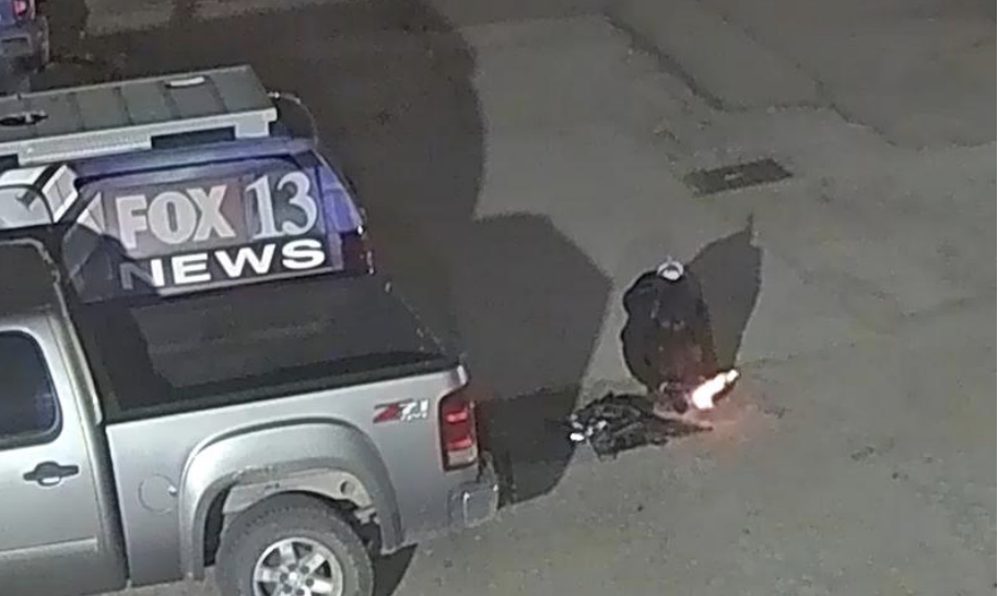 “Anarchist to the Bone” 