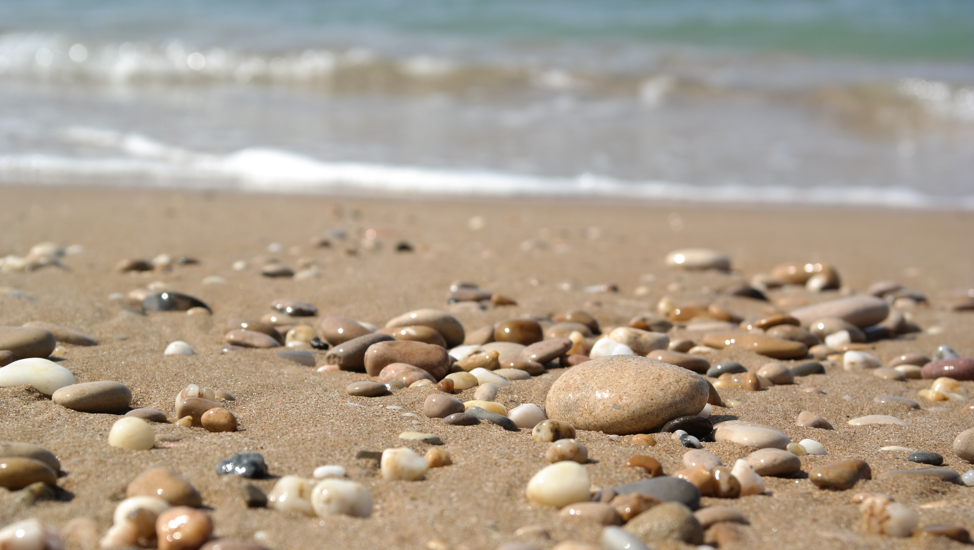 Micro-Alignment: The Small Daily Decisions That Change Your Life Trajectory