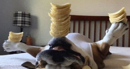 🎩 U.S. Economy: High Interest Rates, Stocks Wobble, and Gold Soars