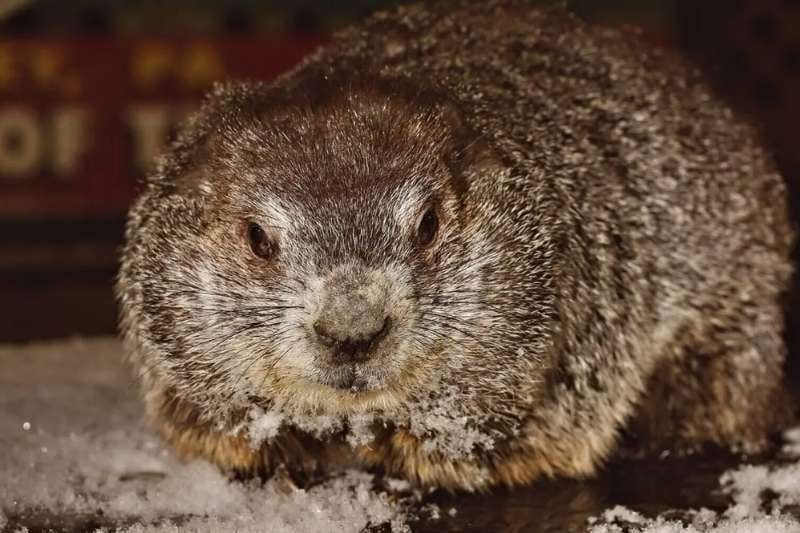 Habrá seis semanas más de invierno