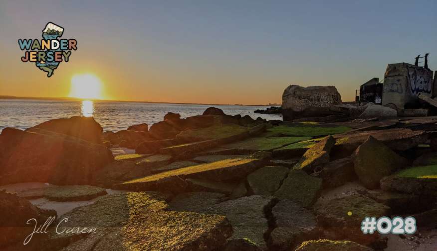 🌻Things To Do in Jersey 1/16-1/18