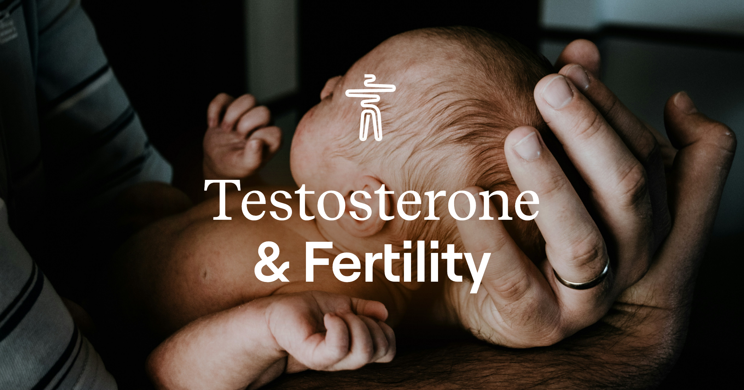 Testosterone & Fertility