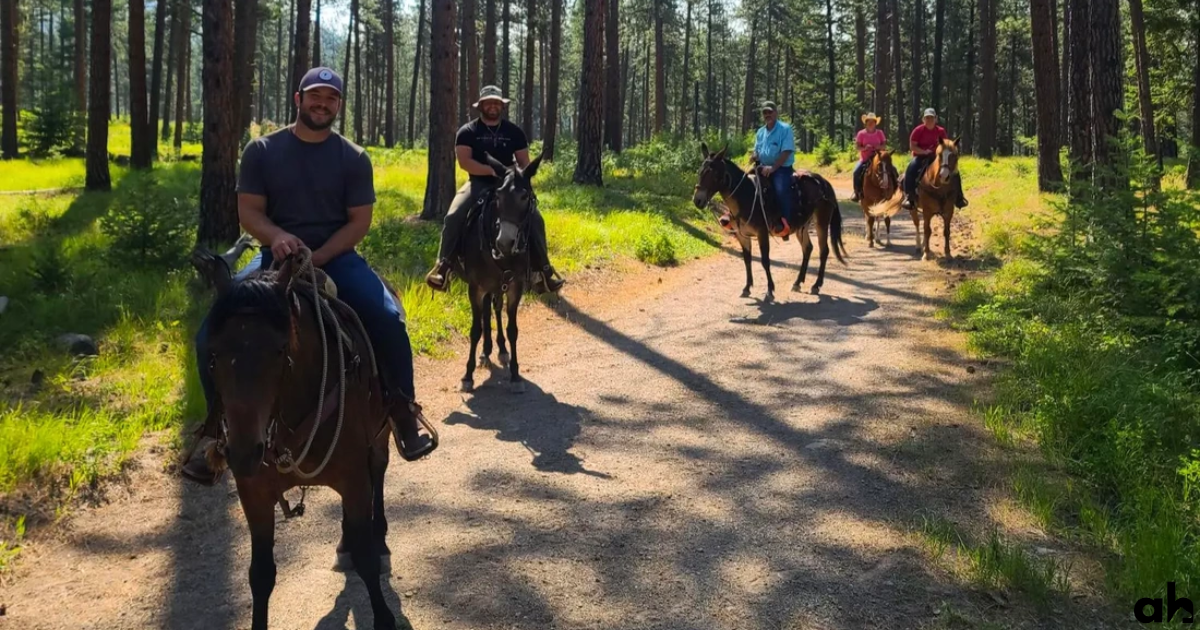 Essential Horse Riding Equipment: A Beginner's Guide