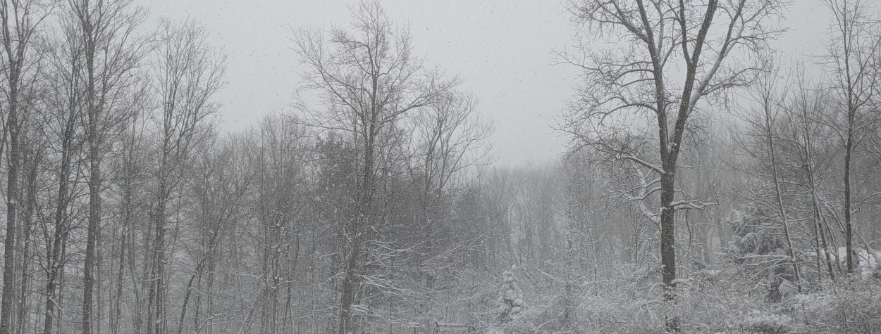 Upcoming Events - January 16, 2026