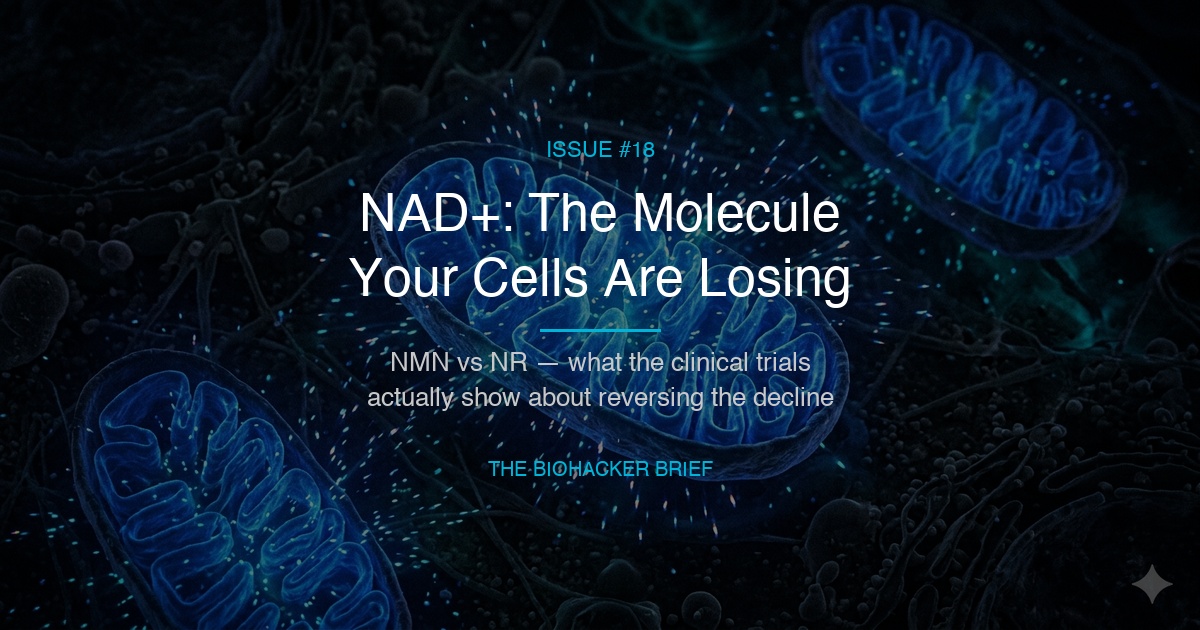 NAD+ Is Declining in Your Cells Right Now. Here's What the Science Says About Fixing It