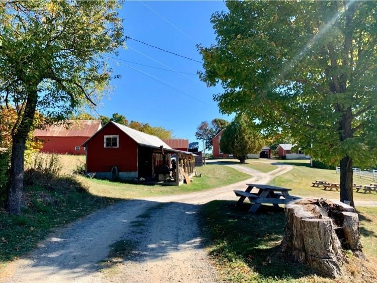 A food and drink tour through Ripon, Quebec