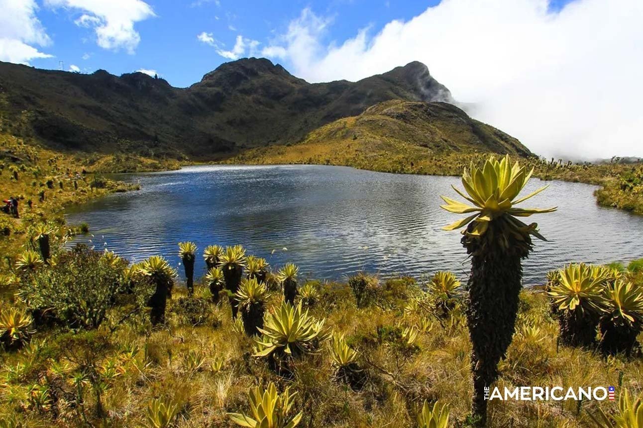 Altitude Is Colombia’s Quiet Health Hack