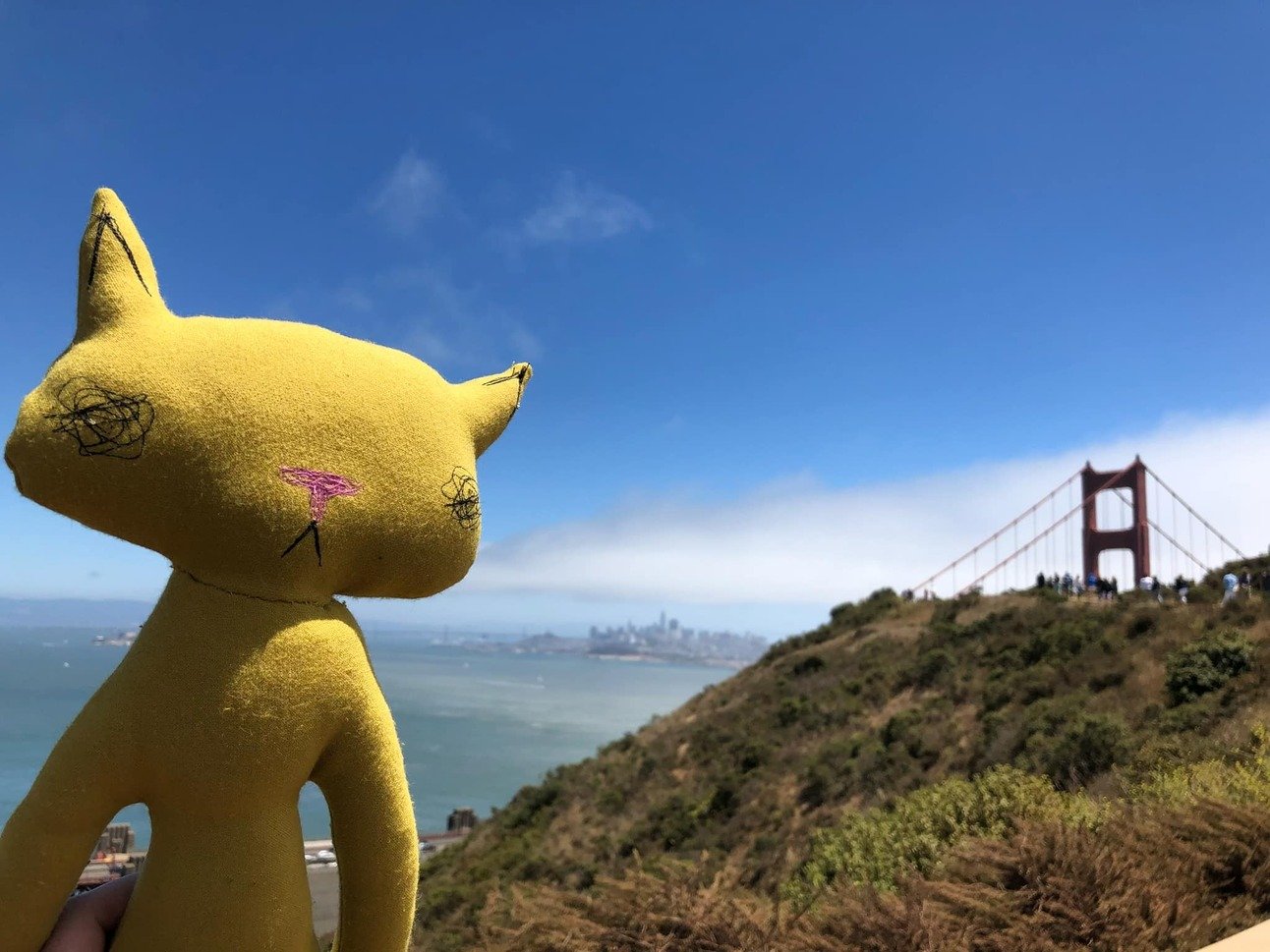 Meet Ian The Meow, The Cat That Reminds San Francisco to “Be Nice.”