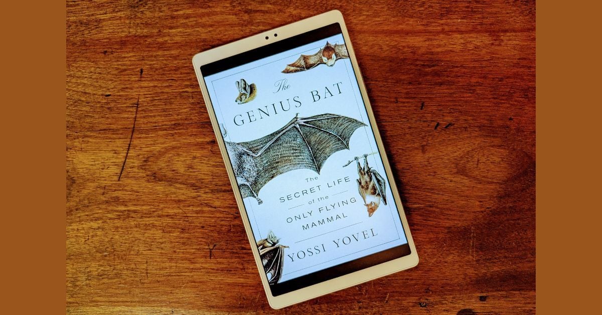 I've seen the future and it will be...  Batman