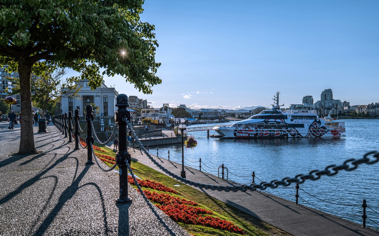 UVic celebrates four local tech founders