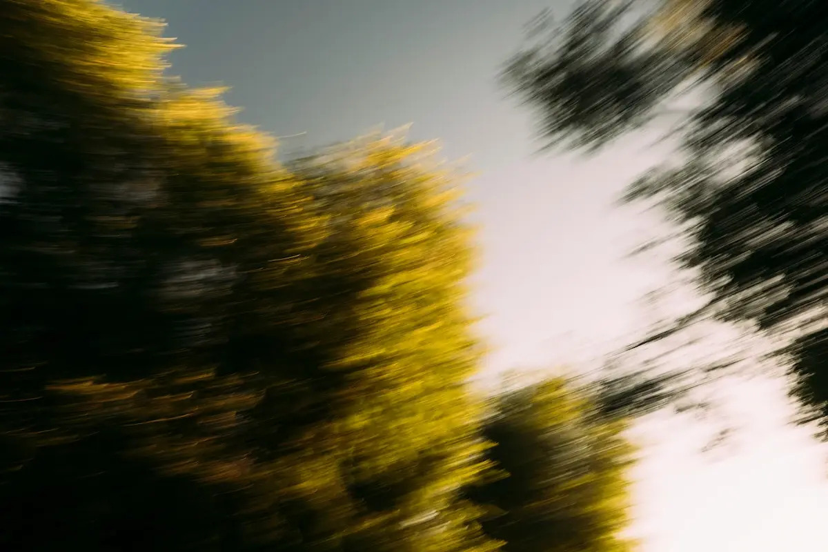 Meaning before motion.