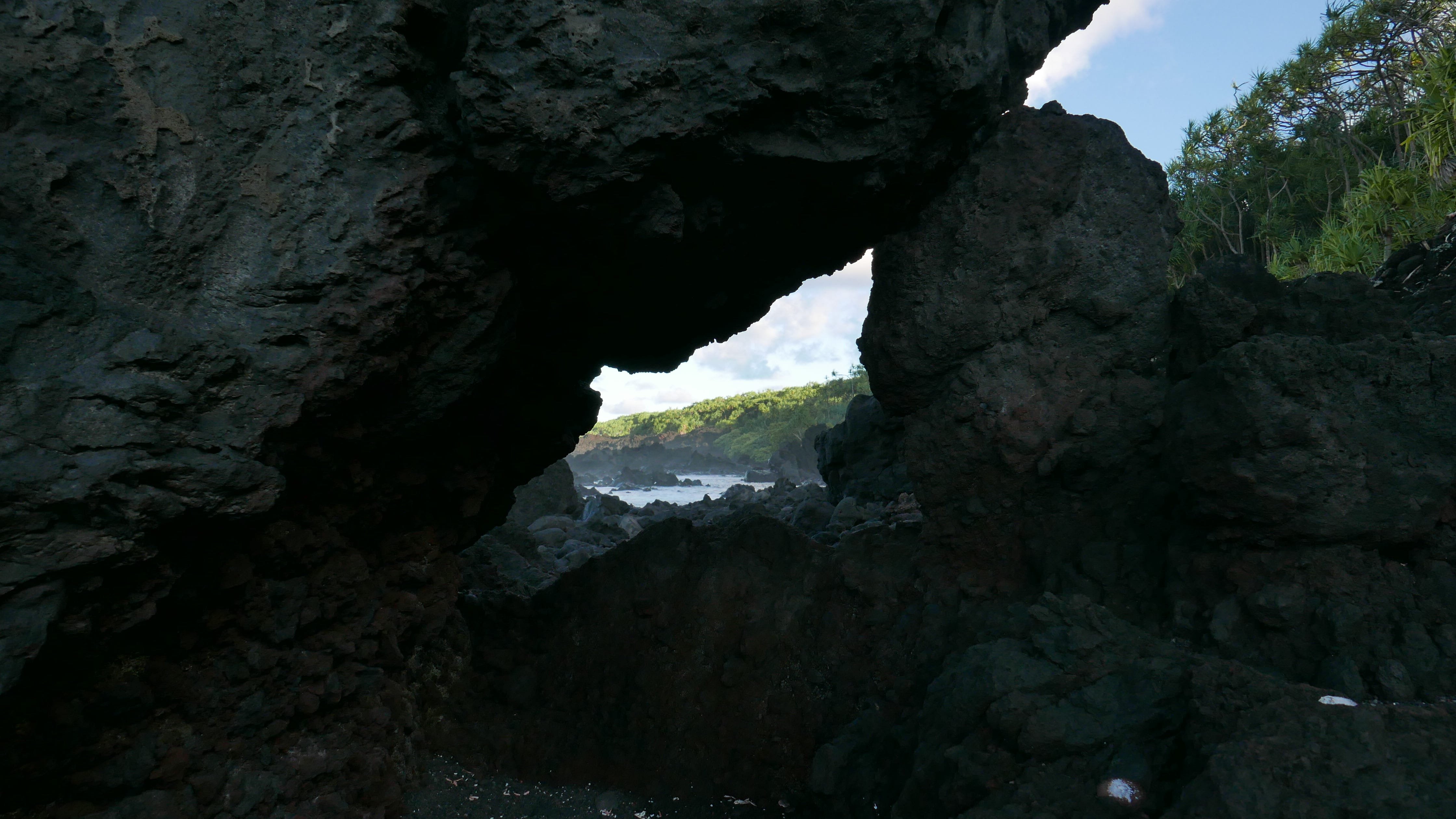 Stuck with a Pandemic as the Cherry on Top