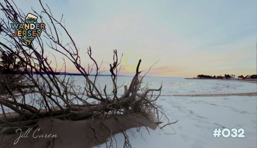 🌻A Day of Love, Monster Trucks and The Year of the Horse