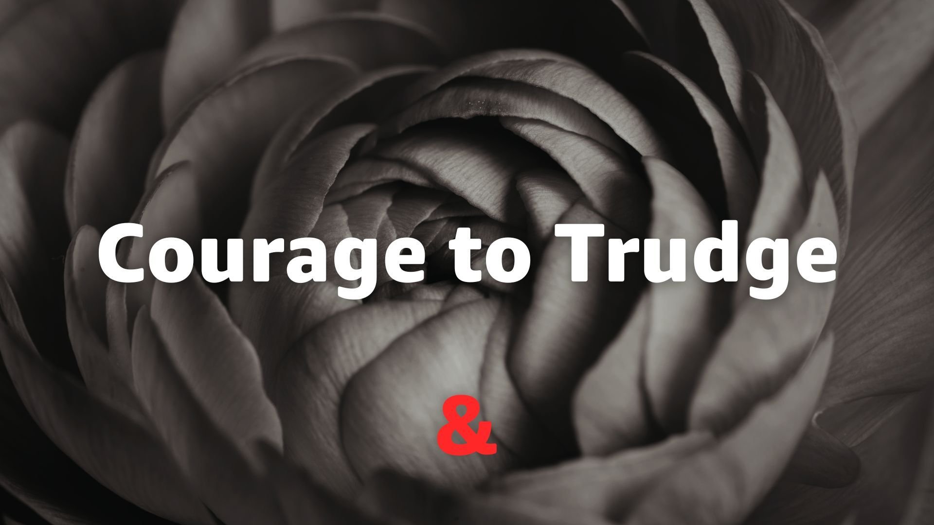 Courage to Trudge