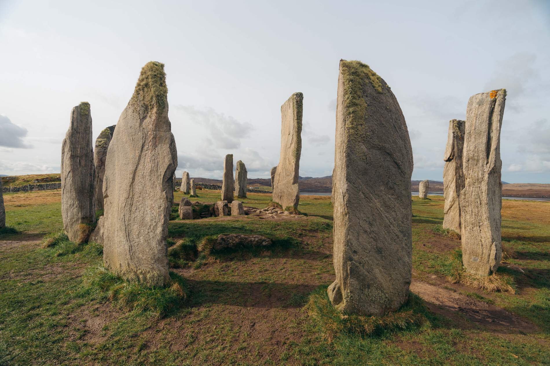 Sunday 14th December (1)