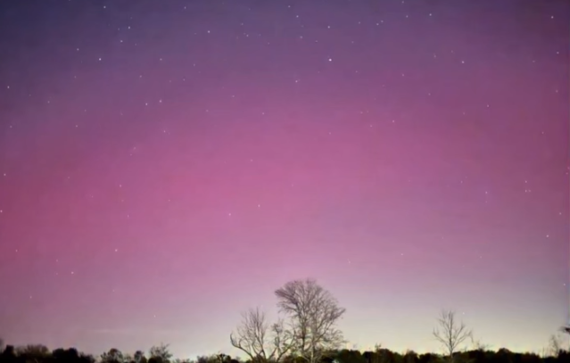 Did You See This? 👀