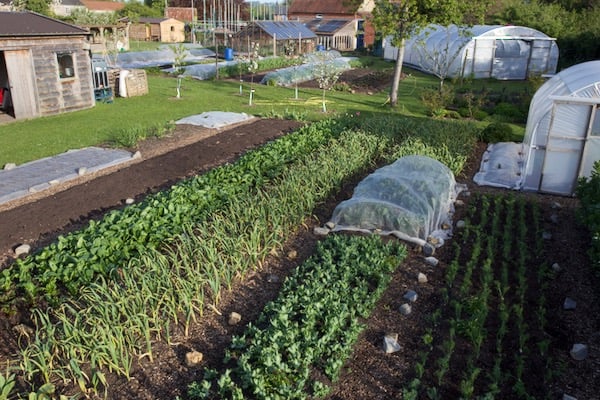 Summer days, but winter nights are possible