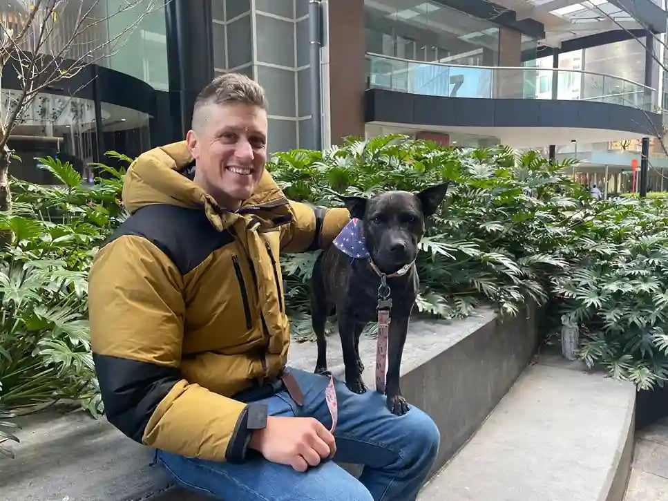 🐶 ChatGPT diseña vacuna contra cáncer de perros