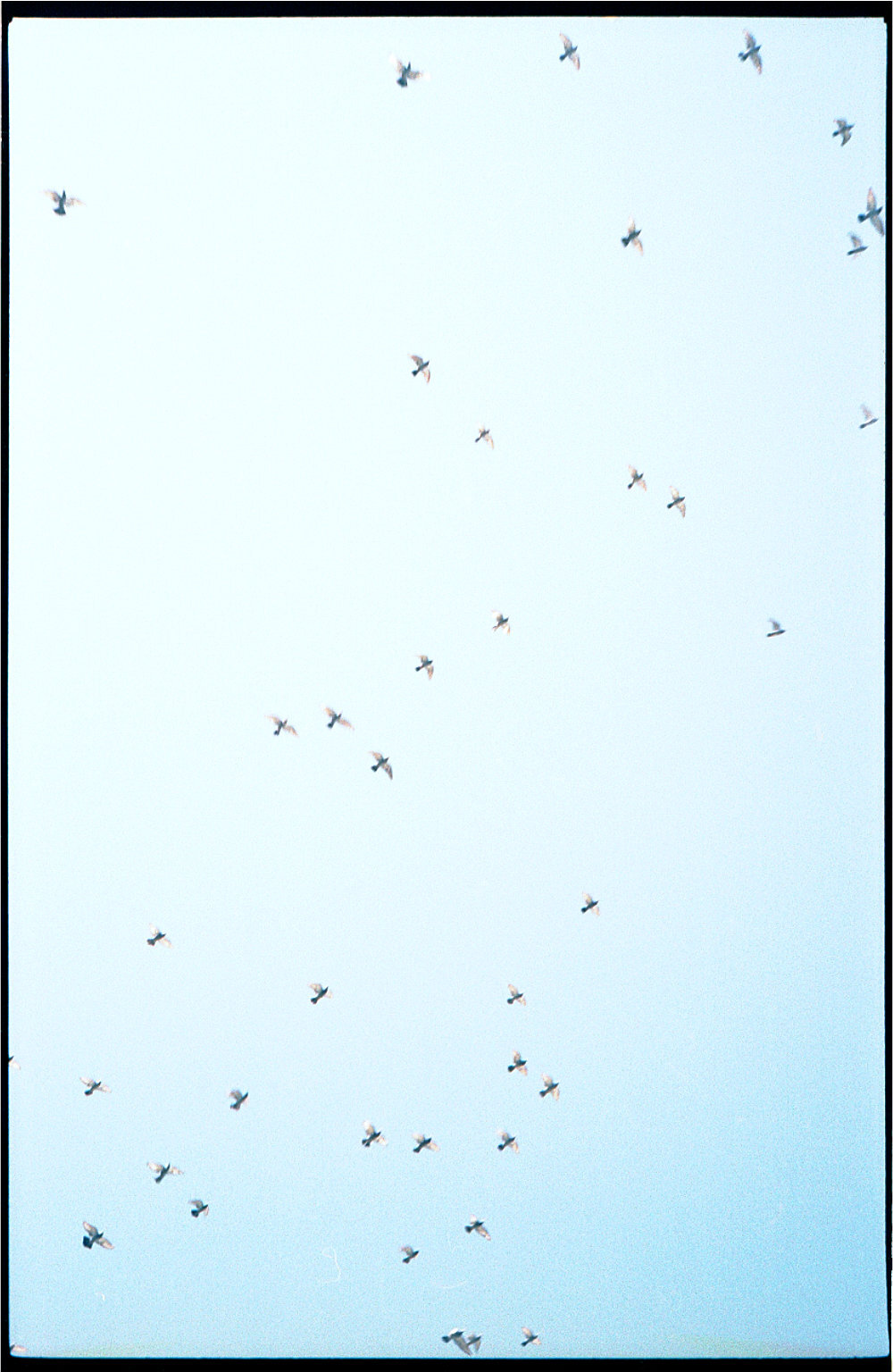 KOKO#10 Der Erforscher der kleinen Sprachen