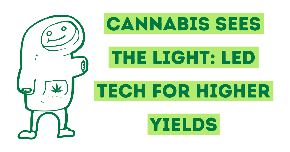 Cannabis Sees The Light: