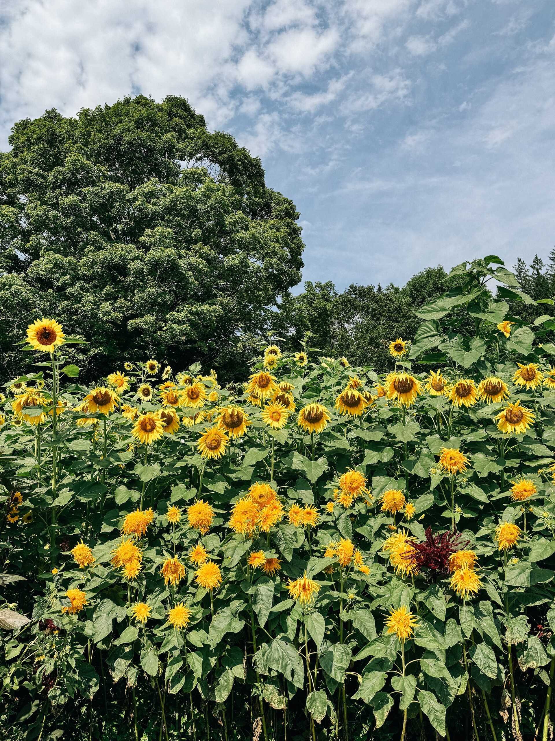 Let's be real for a sec