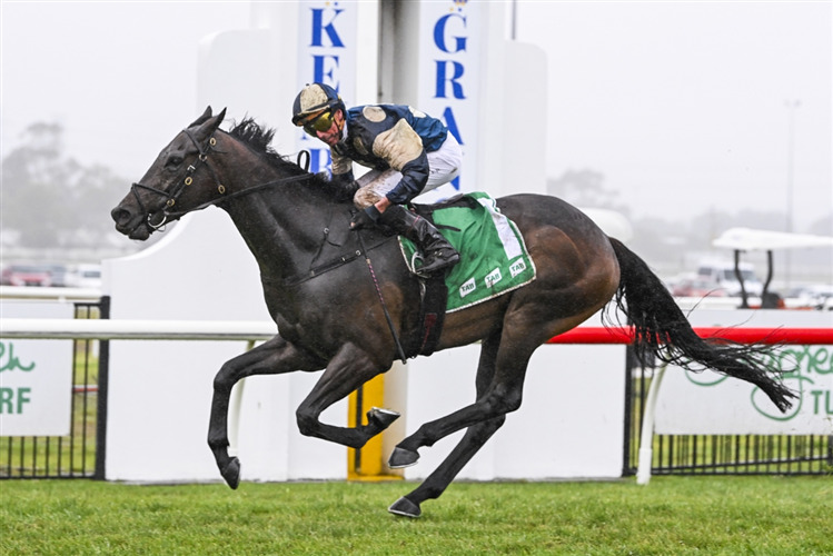 Talent on Show from East to West