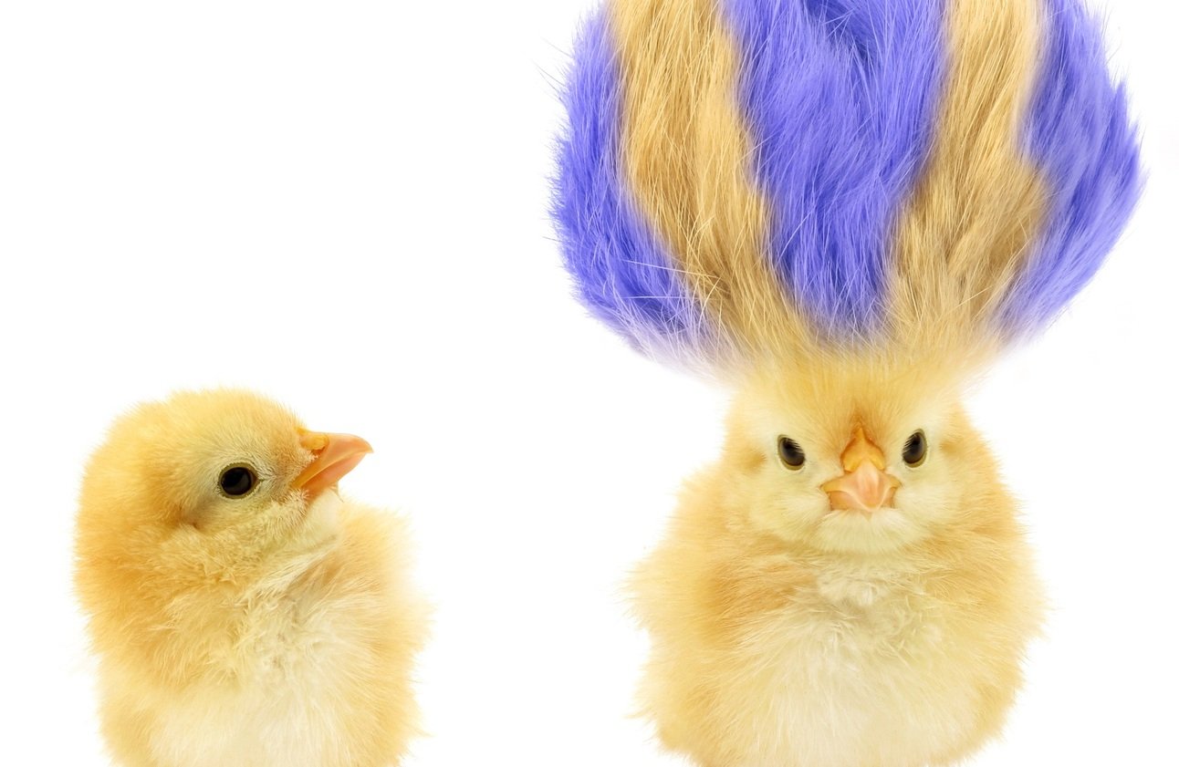R&D or R&Don’t? What tax got wrong