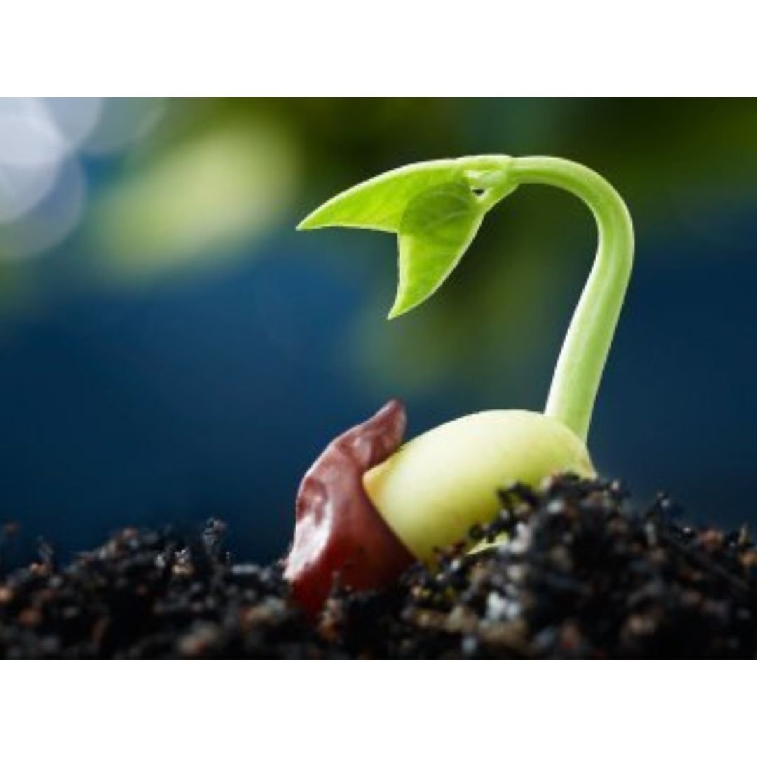 Every Ending is a New Beginning