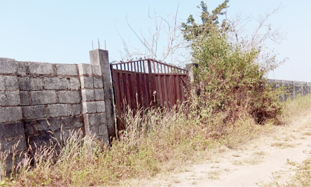 This Week, on African Farms