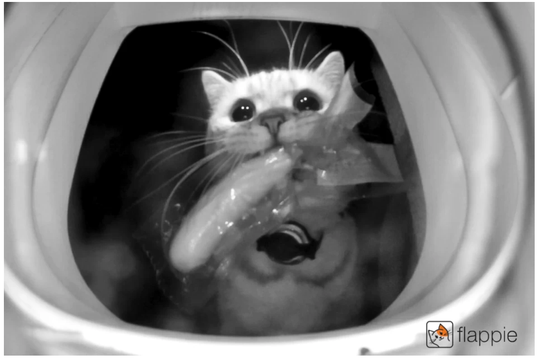 How Flappie’s smart cat doors are turning the home into a controlled ecosystem