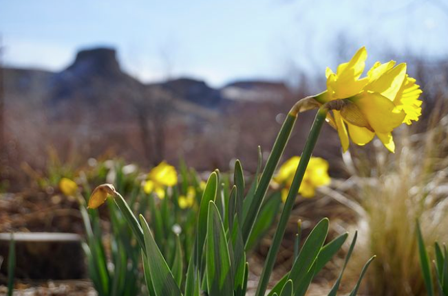 The Earth Day Issue 🌎