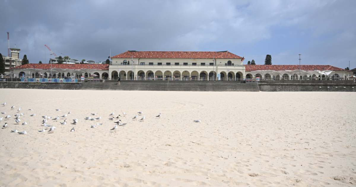 Bondi Beach attack: What we know, what we don’t, and how you can help