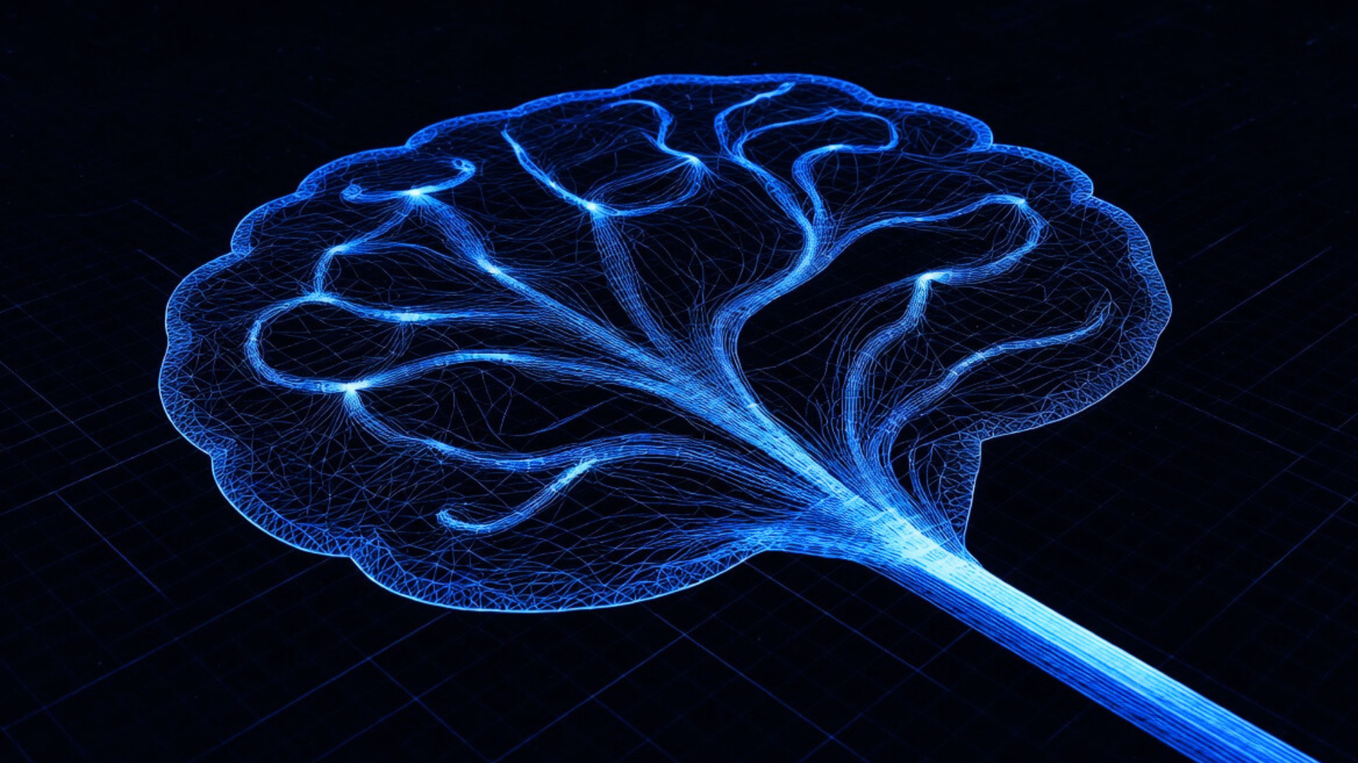 I Finally Decoded My Brain's Blueprint