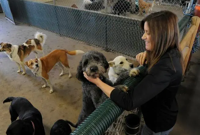 How Heidi Grew North America's Biggest Pet Care Franchise.