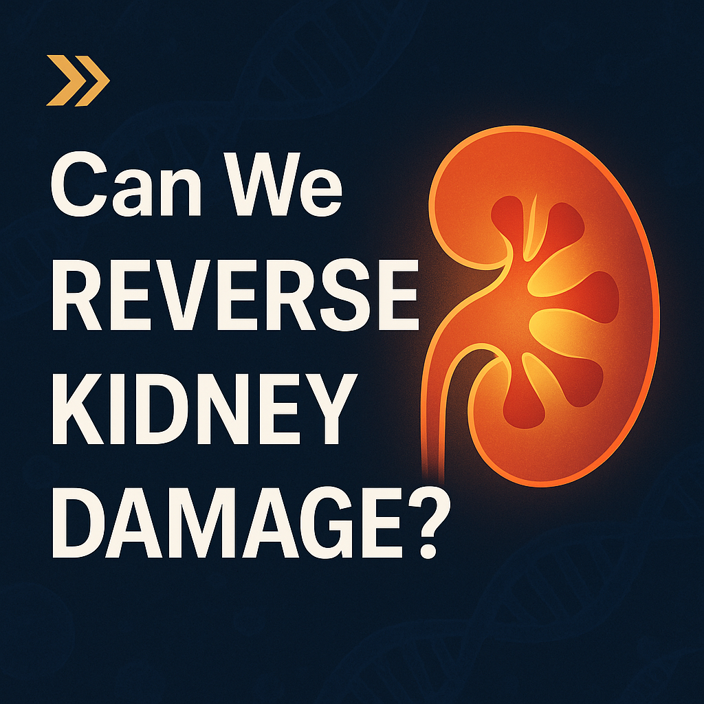 Scientists Are Learning to Reverse Kidney Damage 🧬 