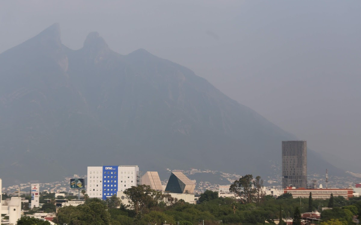 Monterrey se ahoga, girasoles ilegales y la guerra contamina más de lo que crees