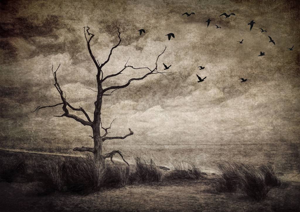 A26: Global Warming Part 8: The Sky's the Limit