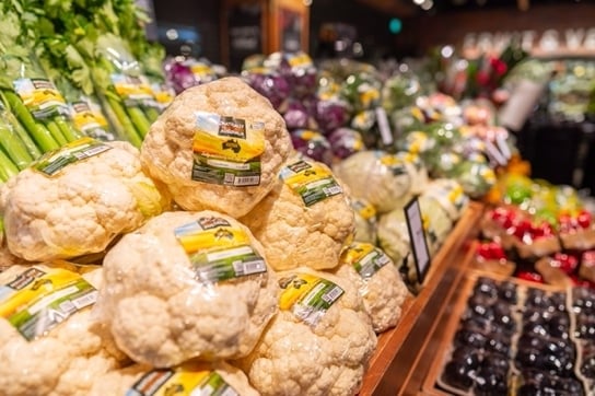 Exploring the Impact of a Nutrient-Dense Diet on Children with ADHD