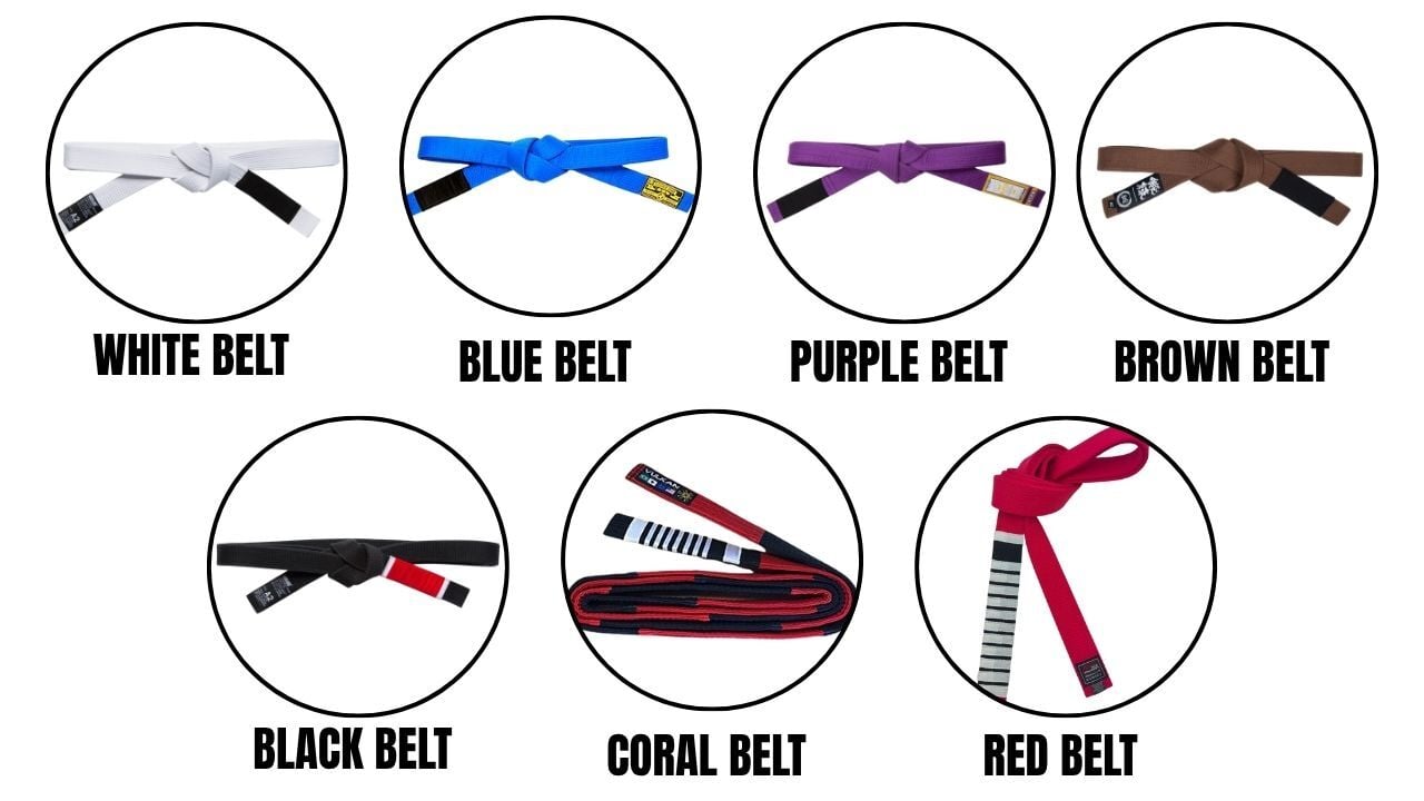 Every Jiu Jitsu Belt Explained!
