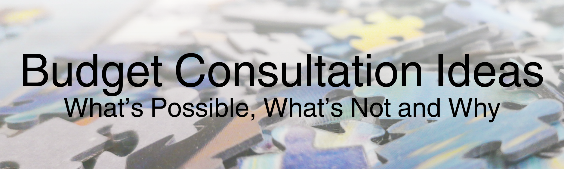 Budget Consultation Revenue Ideas