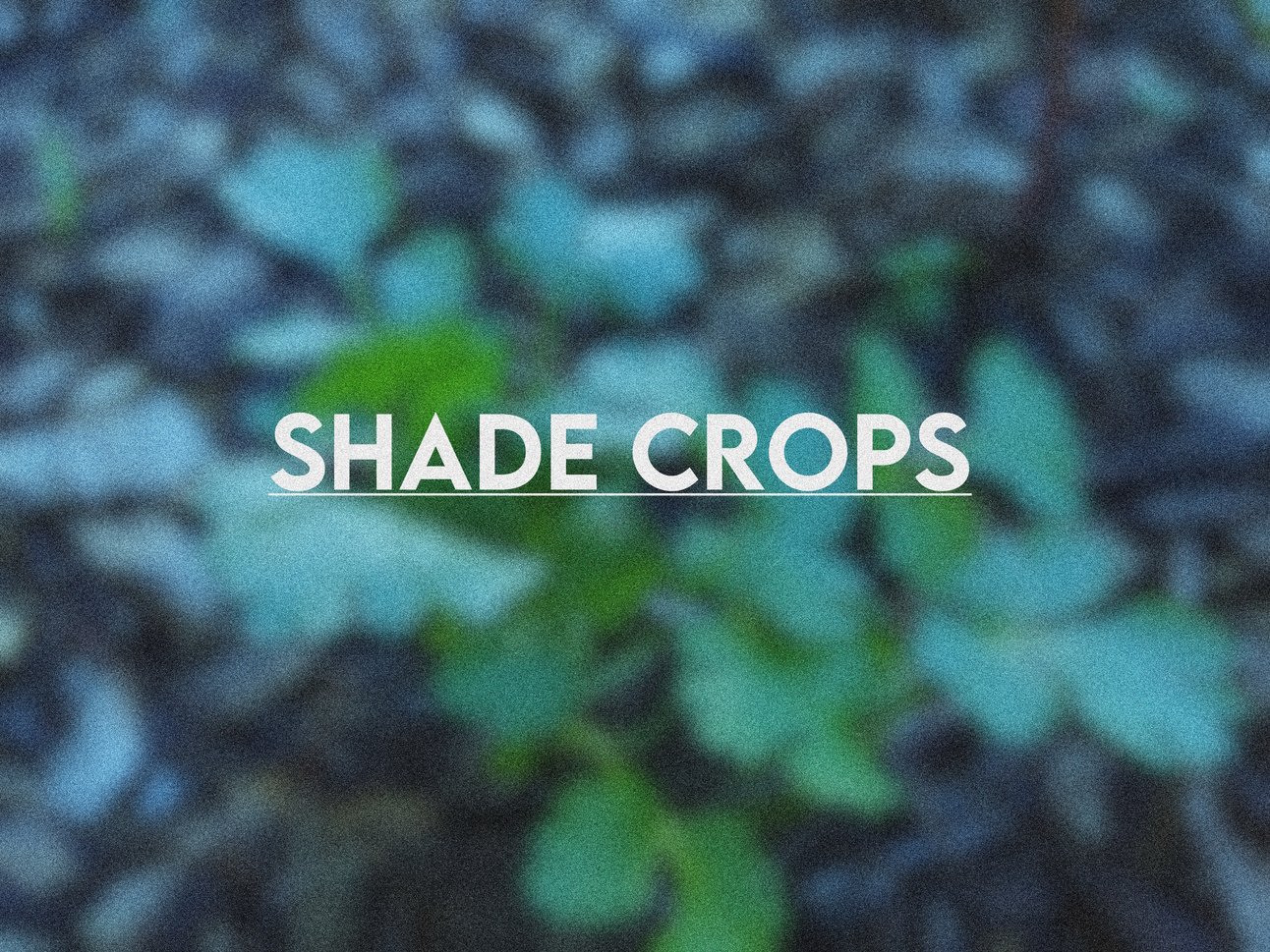 Shade Crops