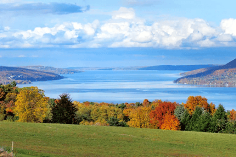 Seeking Finger Lakes Grand Cru, $812,000 for Wine, Does "Estate-Bottled Mean Quality, and much more...
