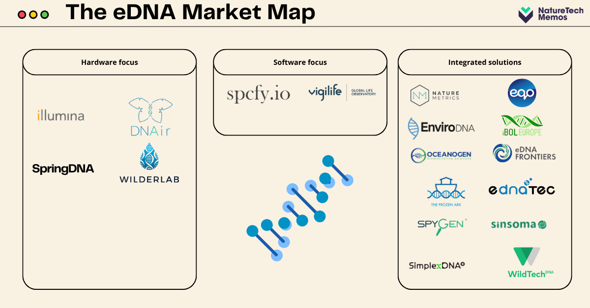 Top 10 eDNA Startups Revolutionizing Biodiversity Monitoring in 2025